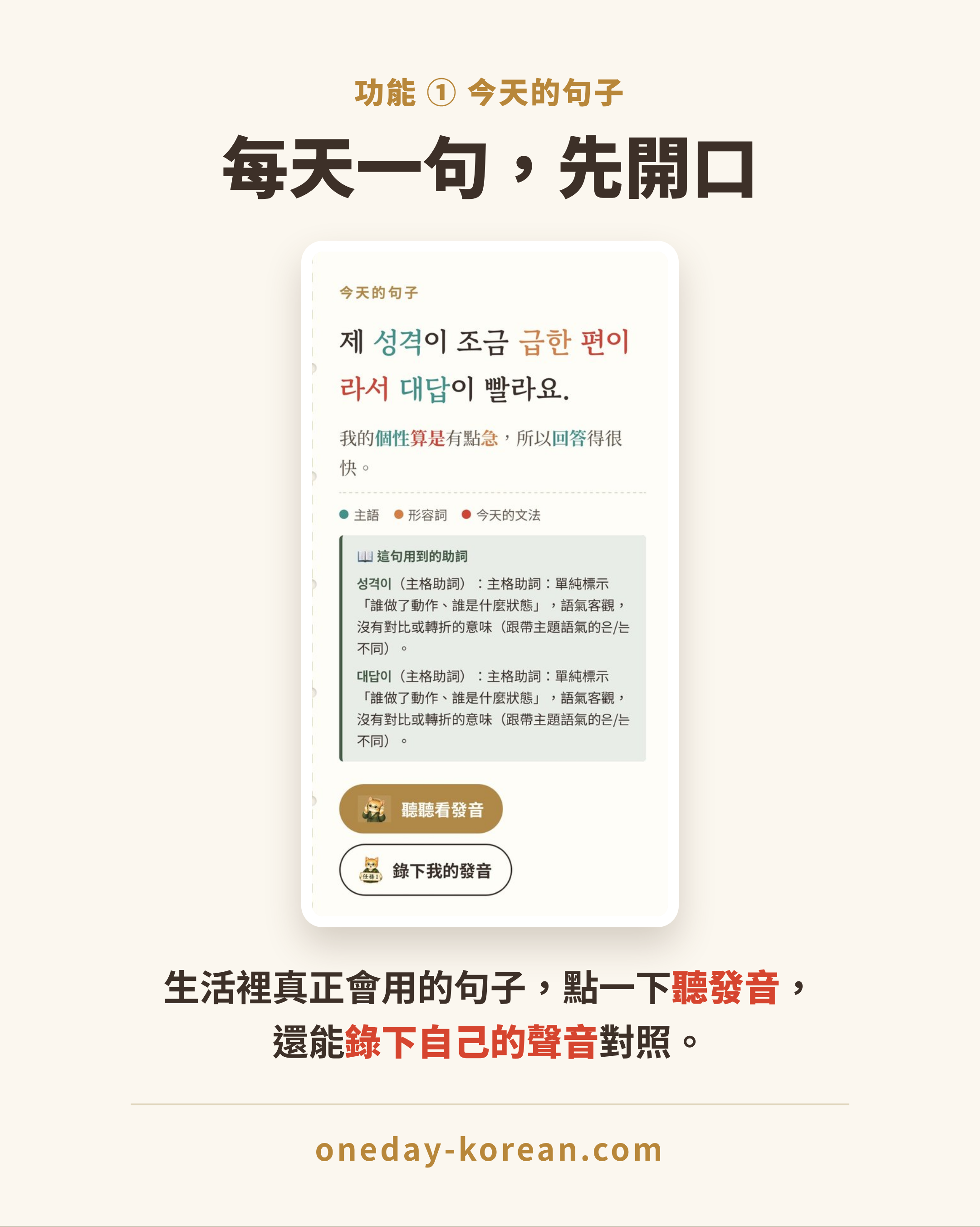 今天的句子
